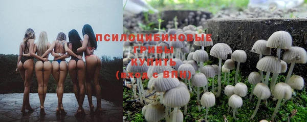 скорость Аркадак