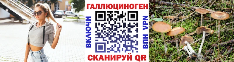 Псилоцибиновые грибы MAGIC MUSHROOMS  Купить где  Николаевск 